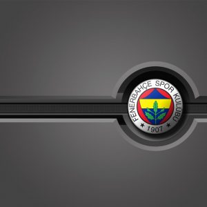 FB - Fenerbahçe Futbol Takımı Wallpaper 1