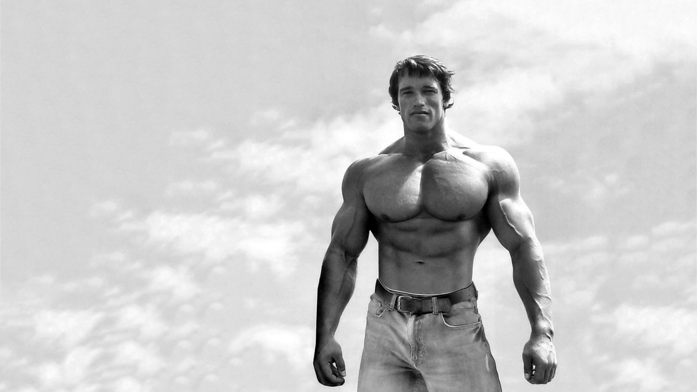 Arnold Schwarzenegger Wallpaper 19