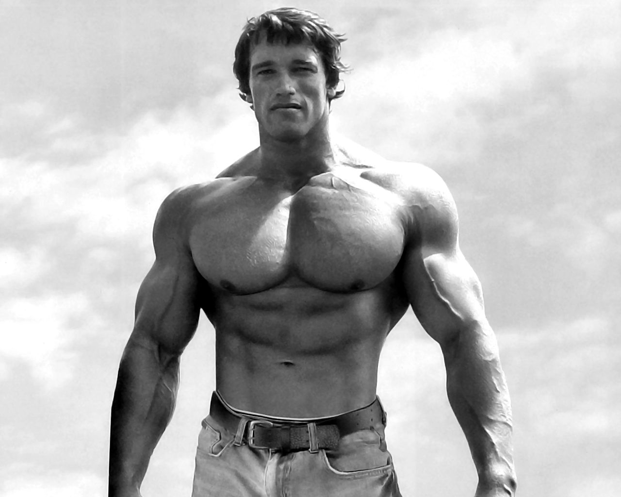 Arnold Schwarzenegger Wallpaper 9