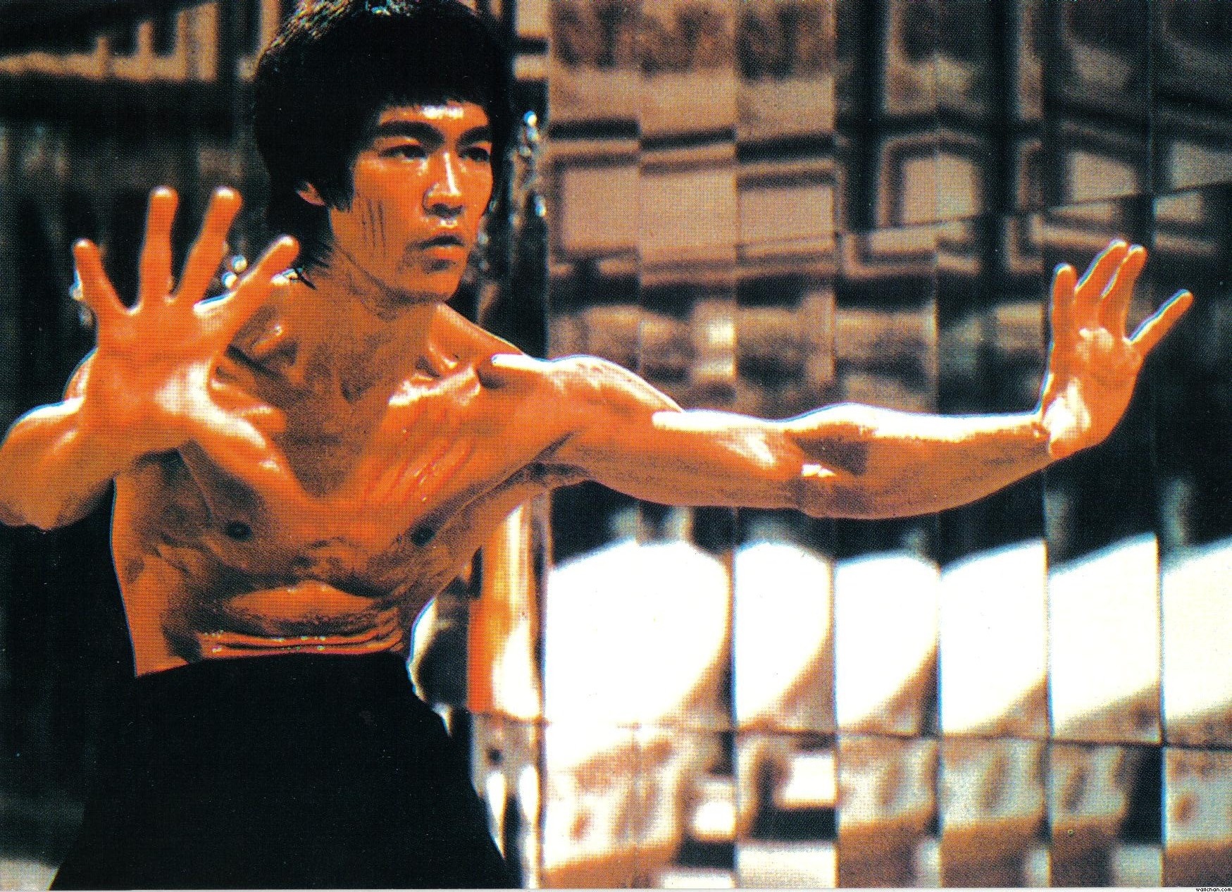 Bruce Lee Wallpaper 3