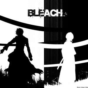 Bleach Anime Wallpaper 046