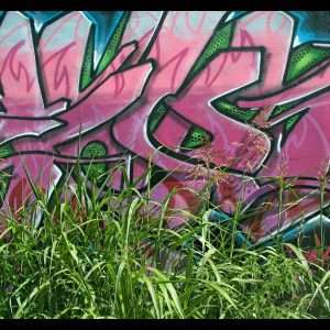 Graffiti Wallpaper 029