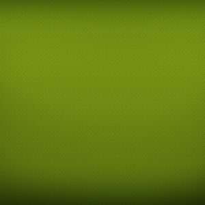 Green Wallpaper 093