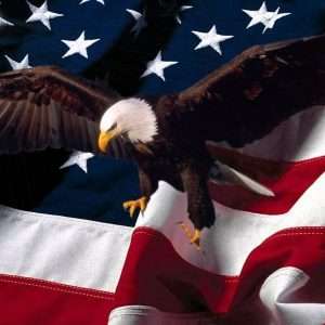 American Flag Eagle Wallpaper 002