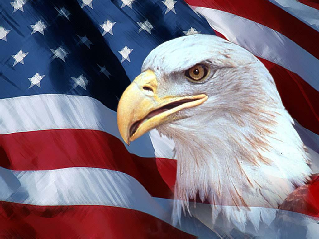 American Flag Eagle Wallpaper 004