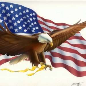 American Flag Eagle Wallpaper 006