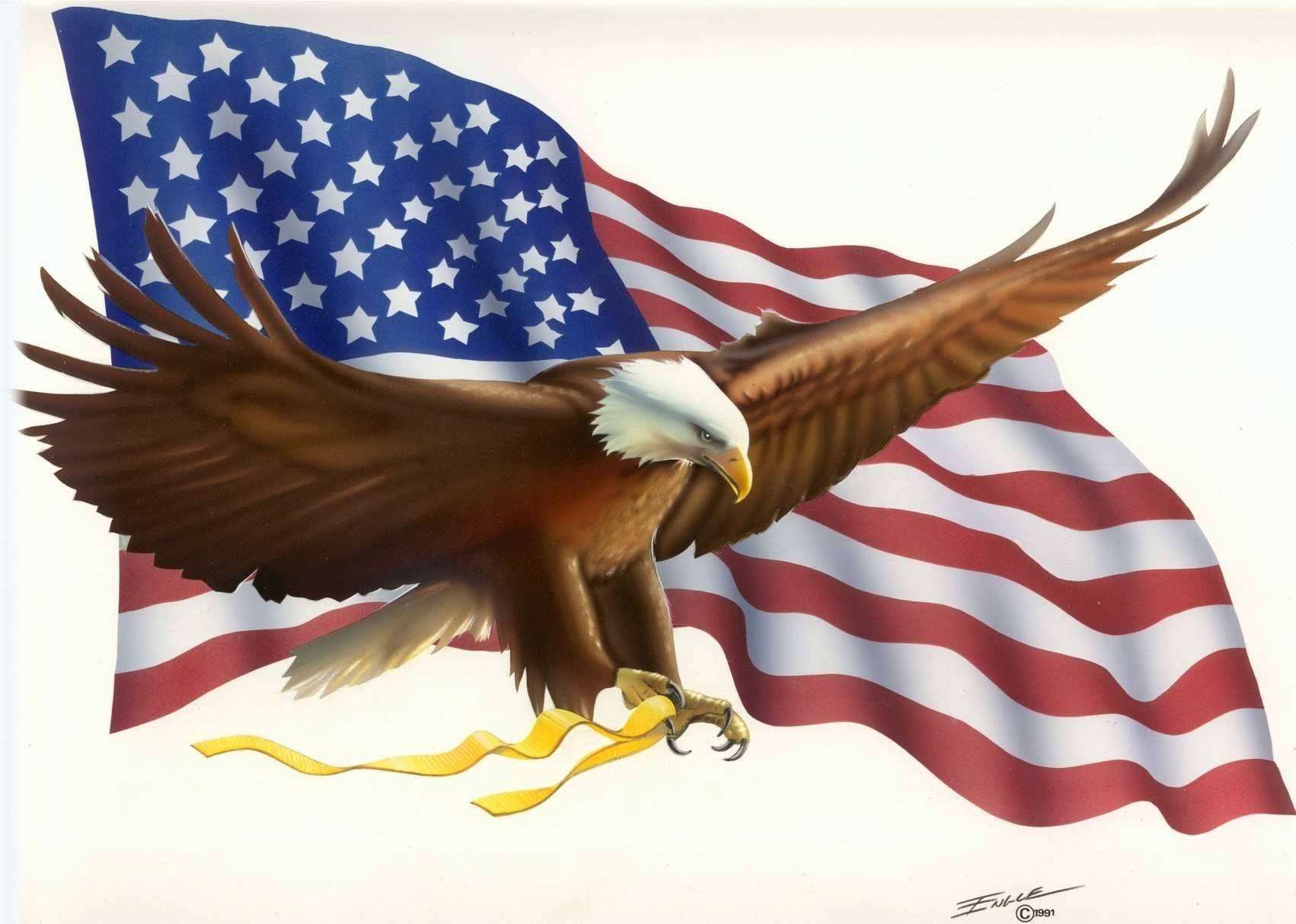 American Flag Eagle Wallpaper 006