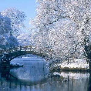 Bridge over a pond in the winter, Johannapark, Leipzig, Germany