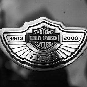 Harley Davidson Logo Wallpaper 19