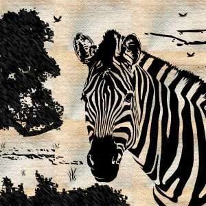 Zebra Wallpaper 2