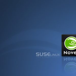 SUSE Linux Wallpaper 10