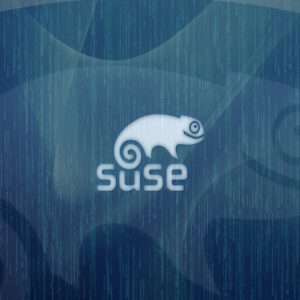 SUSE Linux Wallpaper 4