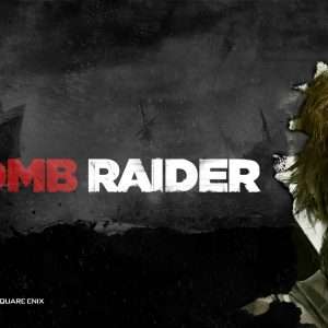 Tomb Raider 2013 Wallpaper 8