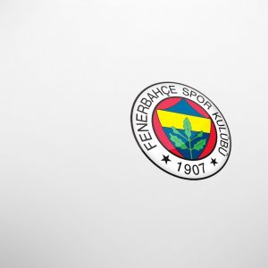 FB - Fenerbahçe Futbol Takımı Wallpaper 14
