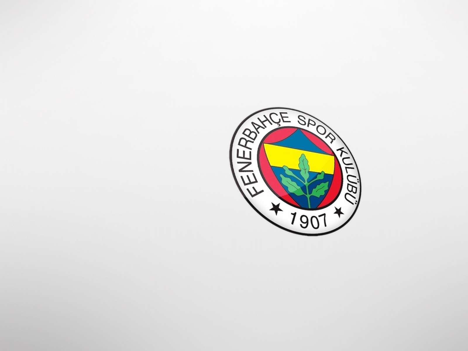 FB Fenerbahçe Futbol Takımı Wallpaper 14