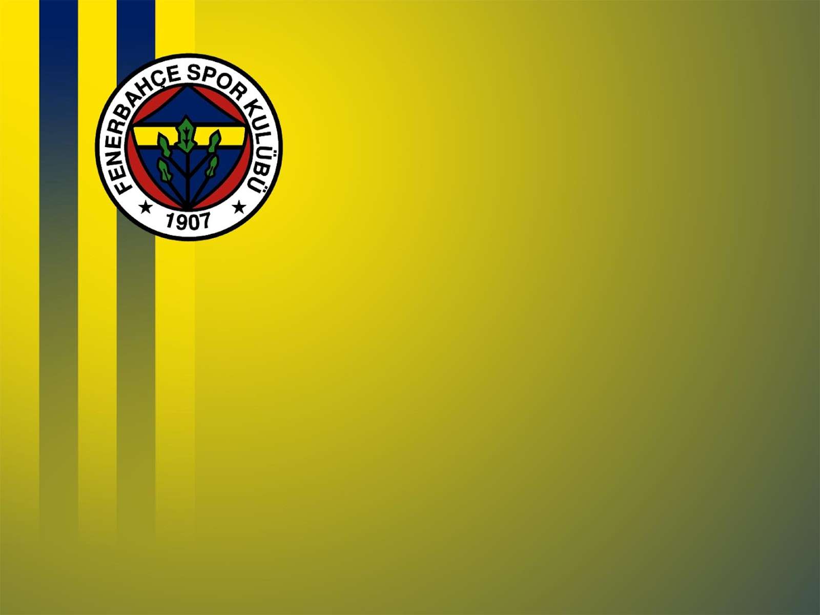 FB Fenerbahçe Futbol Takımı Wallpaper 16