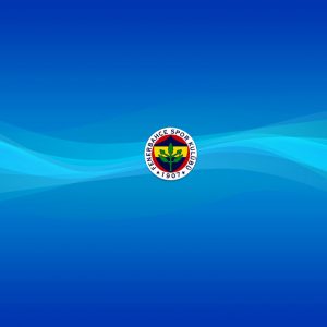 FB - Fenerbahçe Futbol Takımı Wallpaper 2