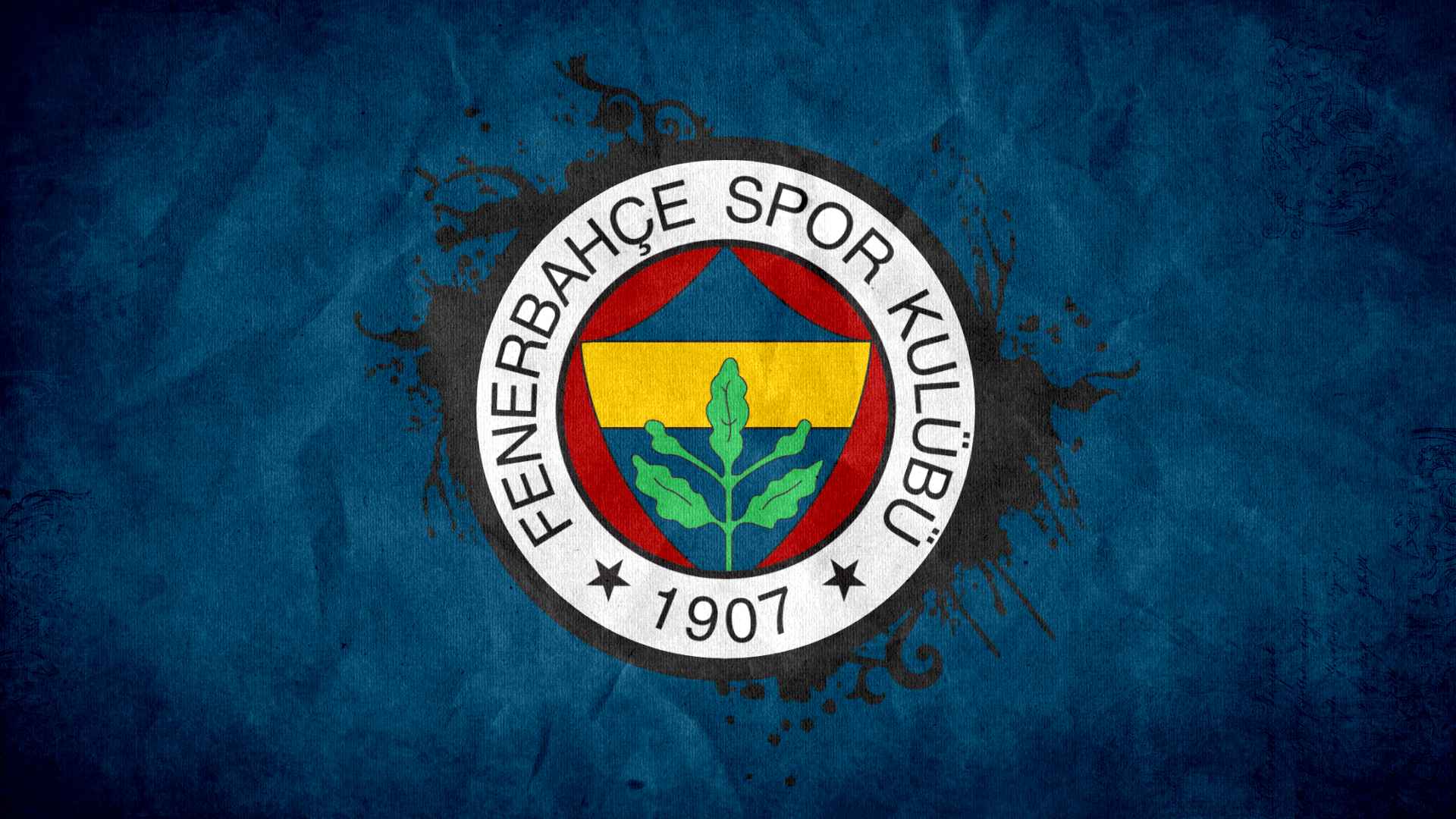 FB Fenerbahçe Futbol Takımı Wallpaper 26
