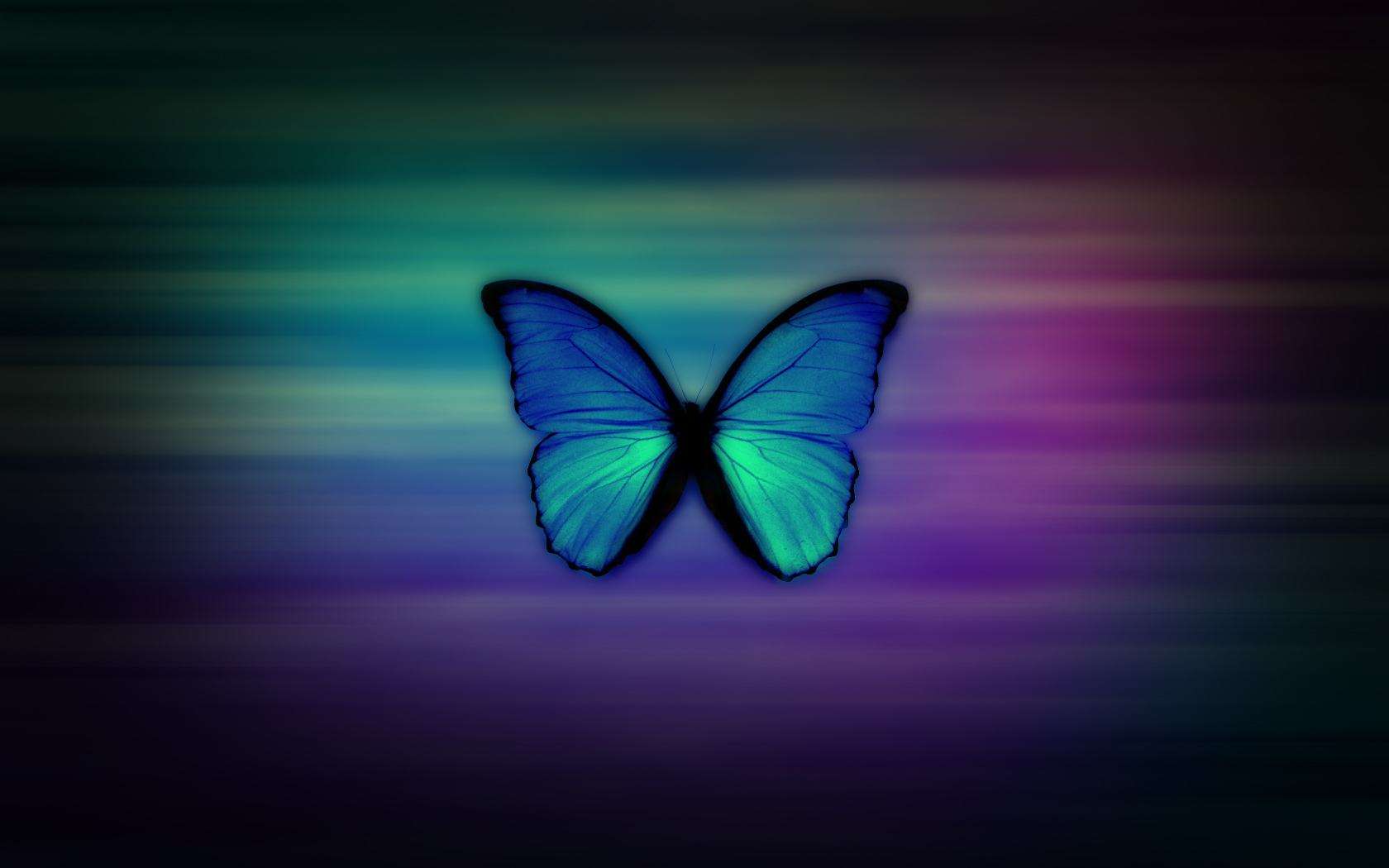 Butterfly Wallpaper 022