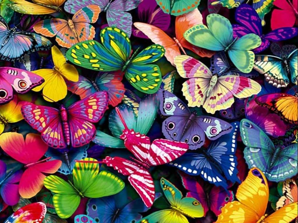 Butterfly Wallpaper 041