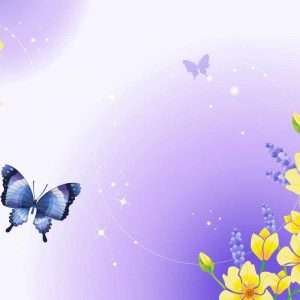 Butterfly Wallpaper 065